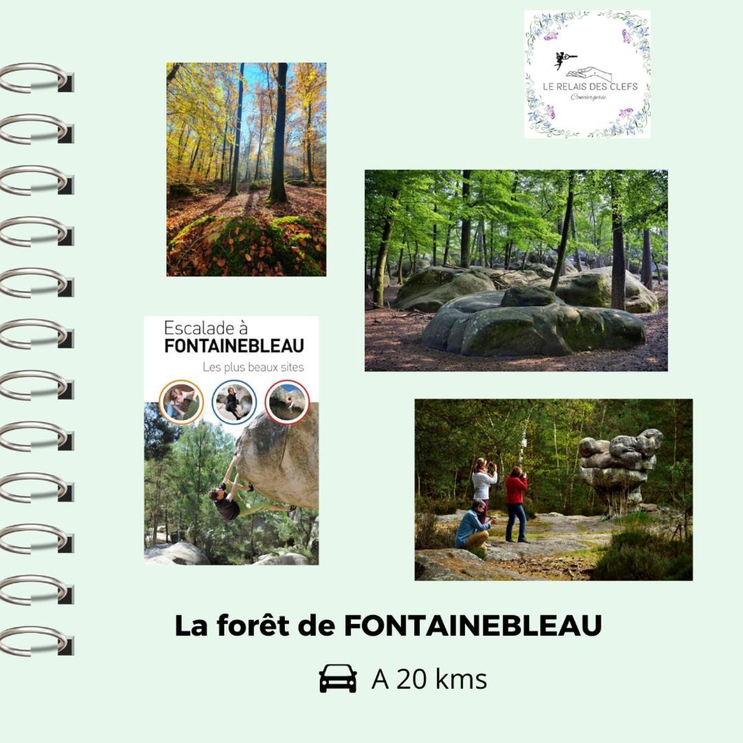 Le Relais Des Clefs - Au Calme Du Gatinais - Escapade A Deux - Terrasse Privee - Wifi - Offre Romantique Sur Demande Valpuiseaux 외부 사진